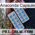 Anaconda Capsule 23